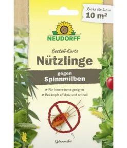 Neudorff Schädlingsbekämpfungsmittel > Bestell-Karte Nützlinge gegen Spinnmilben, 1 Stk.