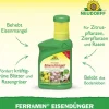 Neudorff Spezialdünger > Ferramin® Eisendünger, flüssig, 250 ml