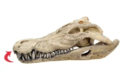 Nobby® Deko > Nobby Aquariumdeko Krokodil Schädel, ca. B26/H9/T14 cm