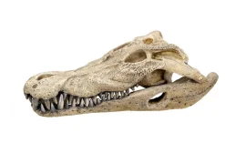 Nobby® Deko > Nobby Aquariumdeko Krokodil Schädel, ca. B26/H9/T14 cm