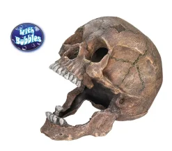 Nobby® Deko > Nobby Aquariumdeko Totenkopf, ca. B20/H16,5/T13,5 cm