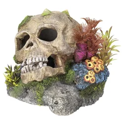 Nobby® Nobby Aquariumdeko Totenkopf mit Pflanzen, ca. B13,5/H10,5/T13,5 cm Discount