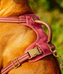 Nobby® Hundehalsbänder & Geschirre - Nobby Hundegechirr porty Rot