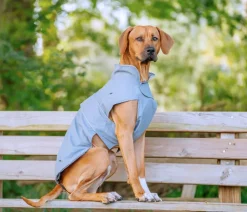 Nobby® Nobby Hundemantel Sela, Grau Online