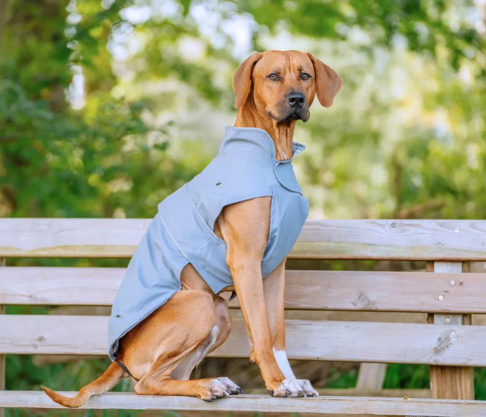 Nobby® Mehr Hundezubehör - Nobby Hundemantel Sela, Grau