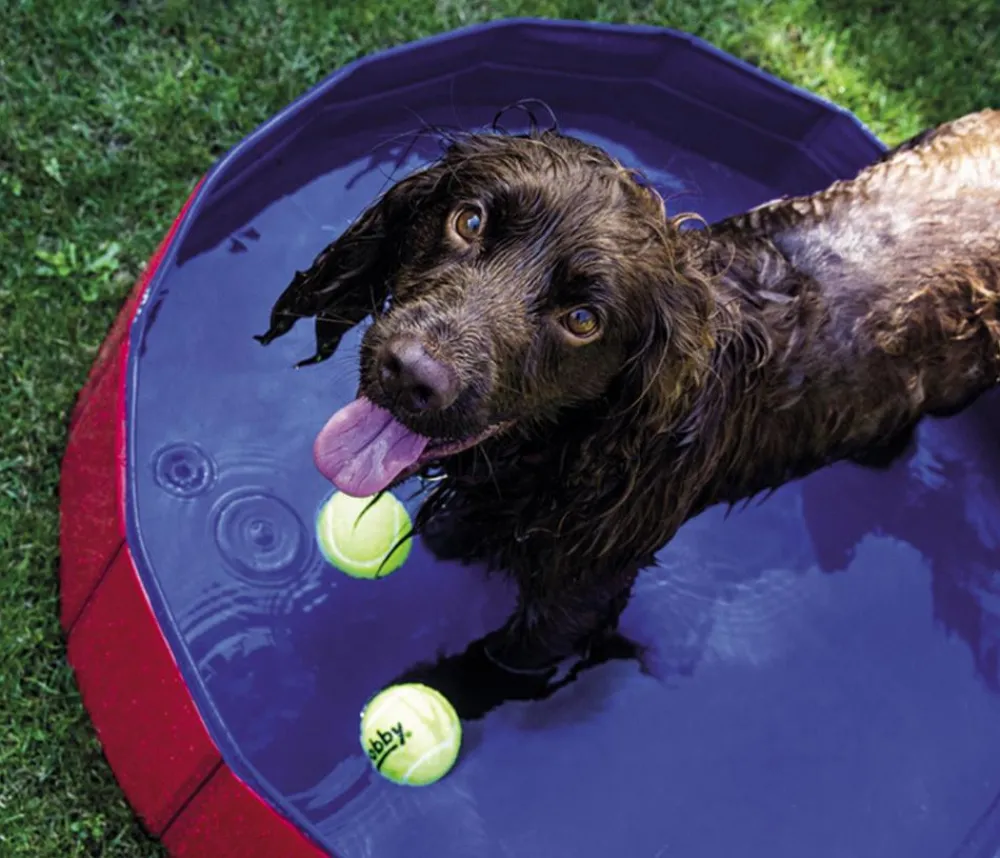 Nobby® Nobby Hundepool, rund, rot/blau ca. Ø120/H30 cm Best