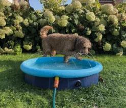 Nobby® Nobby Hundepool Splash Pool 2 in 1