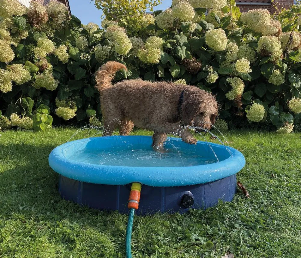 Nobby® Hundespielzeug - Nobby Hundepool Splash Pool 2 in 1