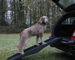 Nobby® Mehr Transport & Unterwegs|Zubehör Tierarztbesuch - Nobby Hunderampe, , ca. L152/B40 cm Schwarz