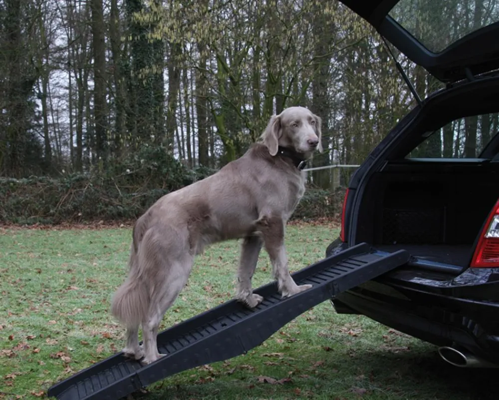 Nobby® Mehr Transport & Unterwegs|Zubehör Tierarztbesuch - Nobby Hunderampe, , ca. L152/B40 cm Schwarz