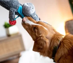 Nobby® Hundespielzeug - Nobby Hundespielzeug Plüschesel
