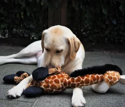 Nobby® Nobby Hundespielzeug Plüschgiraffe elastisch, ca. B18/H72/T13 cm Online