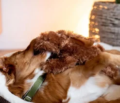 Nobby® Hundespielzeug - Nobby Hundespielzeug Plüschhund Schlapi Braun