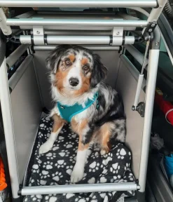 Nobby® Hundetransportboxen > Nobby Hundetranportbox Round Corner