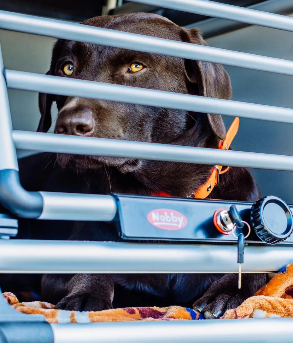 Nobby® Nobby Hundetranportbox Round Corner Best