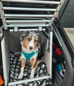 Nobby® Nobby Hundetranportbox Round Corner Best