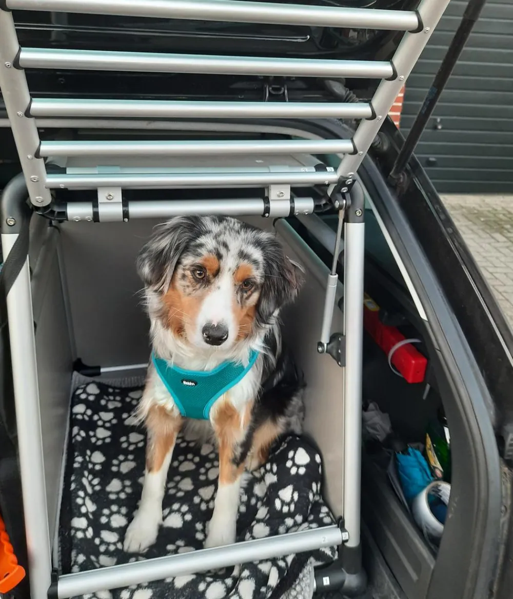 Nobby® Nobby Hundetranportbox Round Corner Best