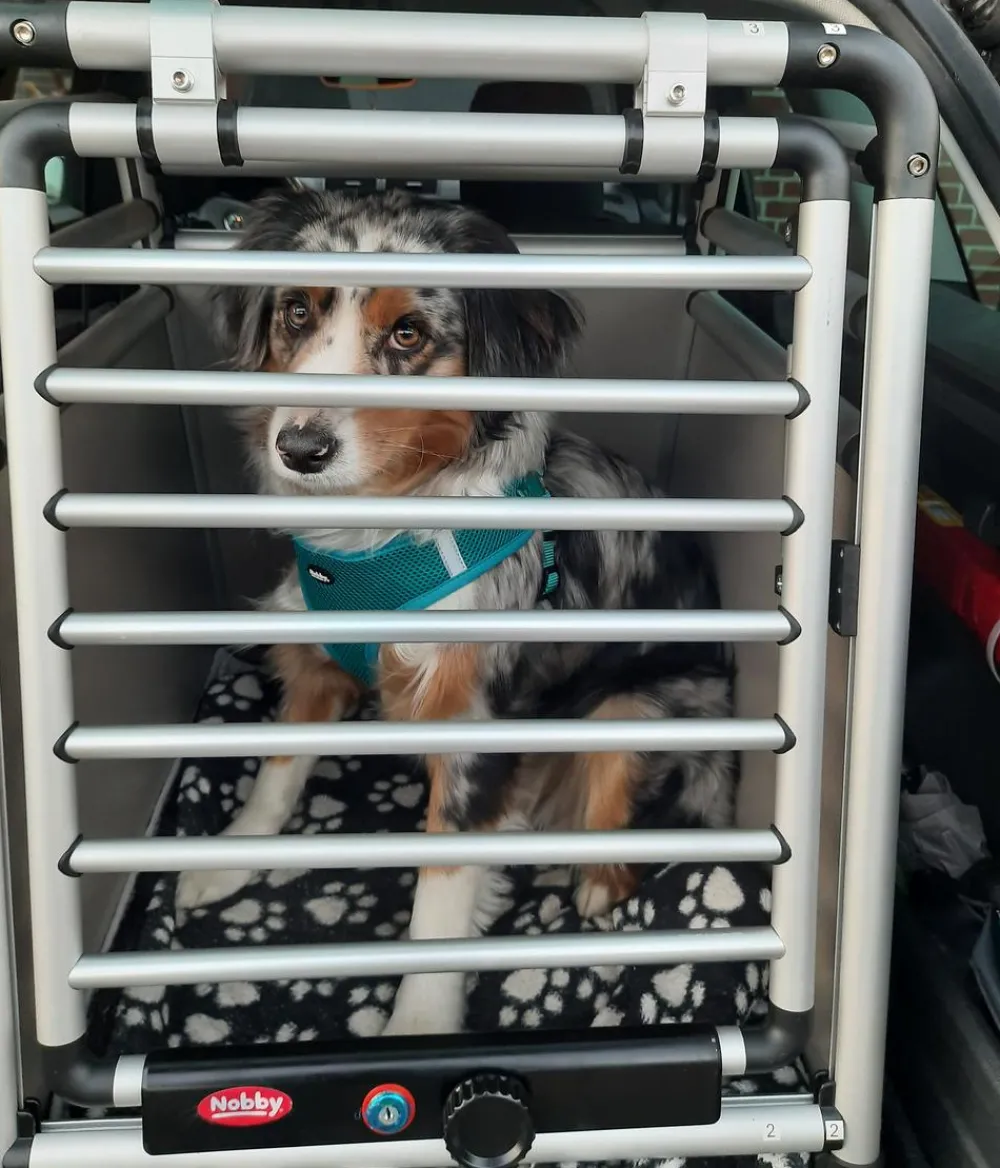 Nobby® Hundetransportboxen - Nobby Hundetranportbox Round Corner