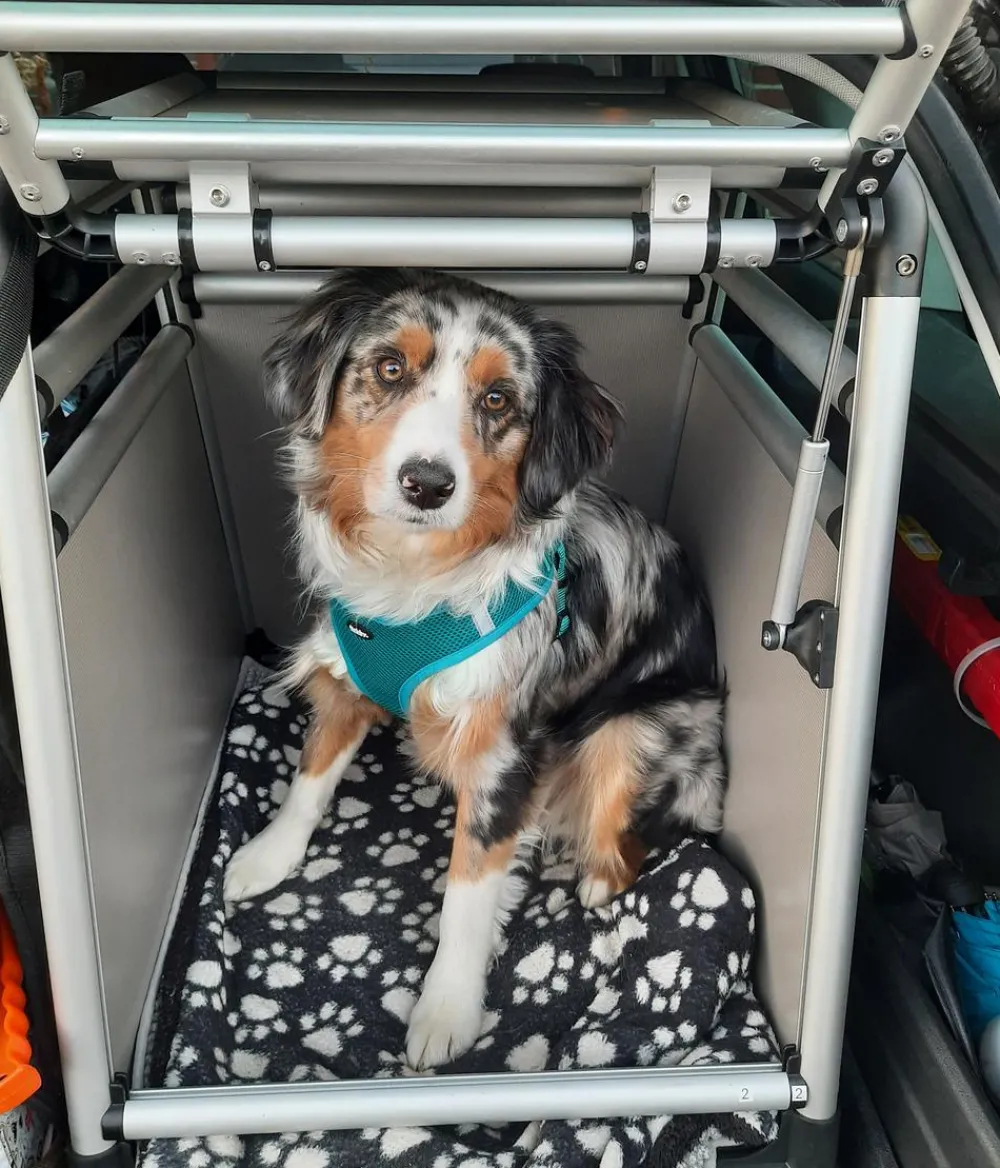 Nobby® Hundetransportboxen - Nobby Hundetranportbox Round Corner