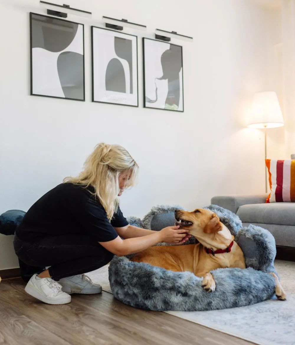 Nobby® Nobby Komfortbett Paw, rund, Braun Online