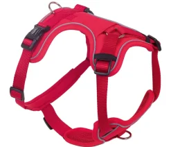 Nobby® Hundehalsbänder & Geschirre - Nobby Kofort-Hundegechirr aio Rot
