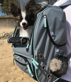 Nobby® Mehr Katzenzubehör|Hundetransportboxen > Nobby Multifunktions-Rucksack Nomad, ca. B26/H27/T45 cm