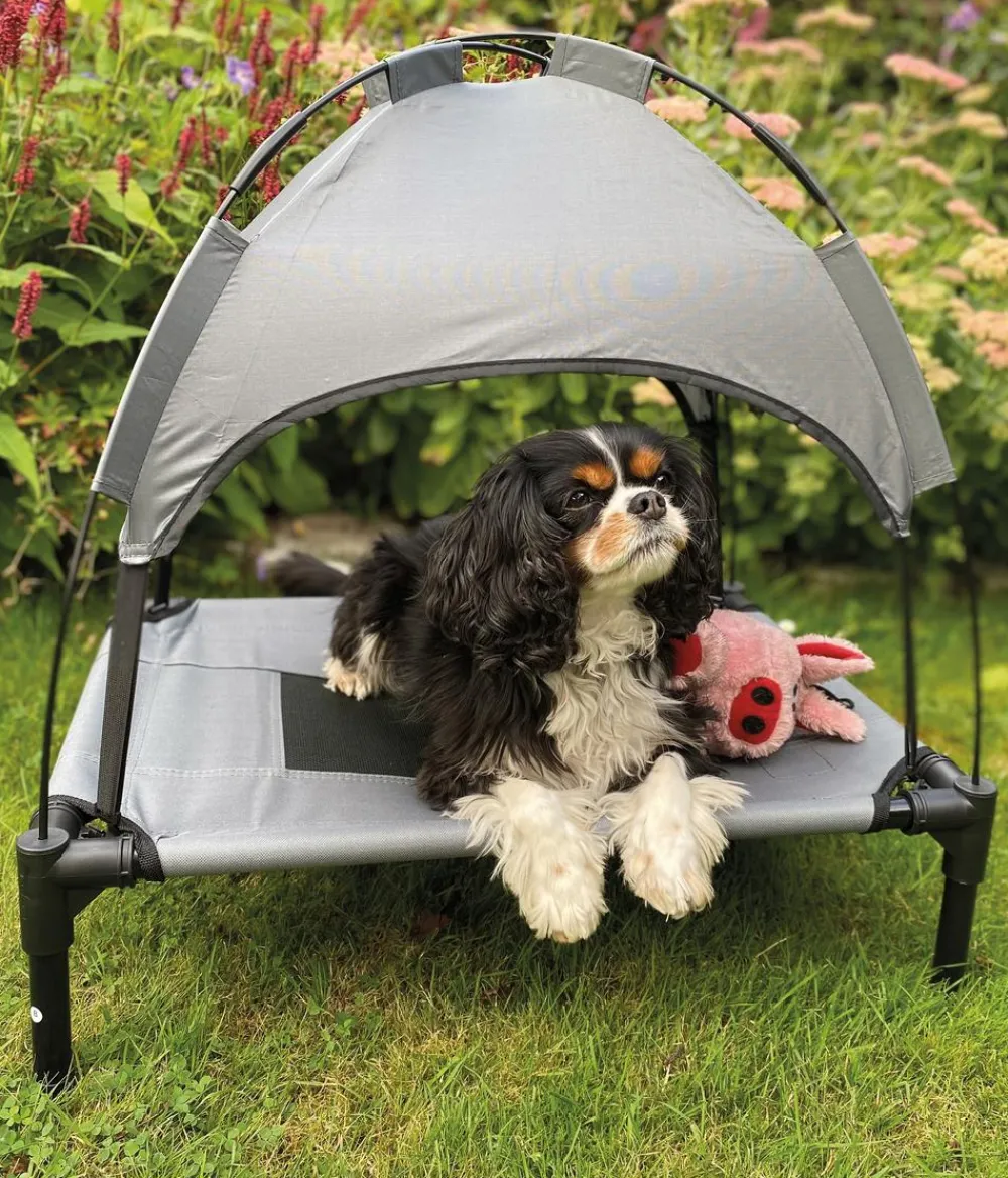 Nobby® Mehr Transport & Unterwegs|Hundebetten & Körbe > Nobby Outdoor Hundeliege Chill Cool, grau