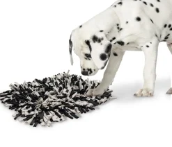 Nobby® Hundespielzeug|Katzenspielzeug > Nobby Schnüffelmatte, grau-, ca. B56/H5/T44 cm