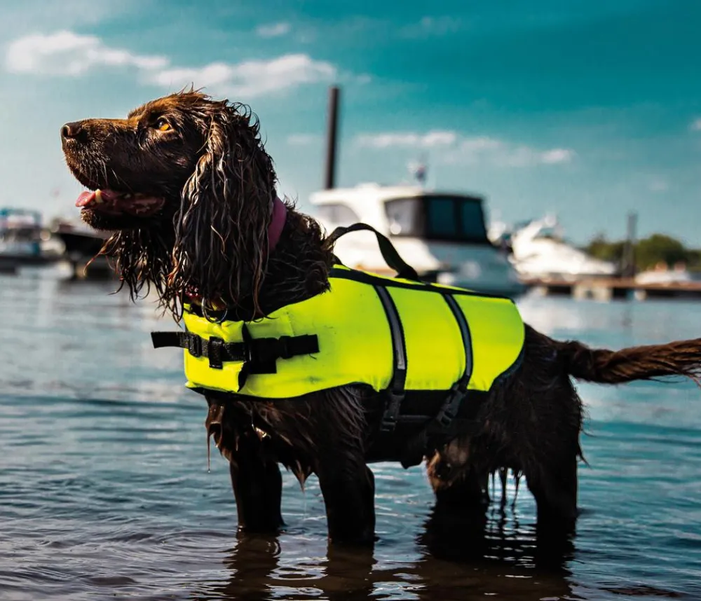 Nobby® Mehr Hundezubehör|Mehr Transport & Unterwegs > Nobby Schwimmhilfe für Hunde, neon