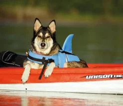 Nobby® Mehr Hundezubehör|Mehr Transport & Unterwegs > Nobby Schwimmhilfe für Hunde Sharki,