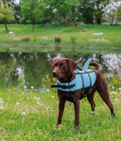 Nobby® Nobby Schwimmhilfe für Hunde Sharki, Hellblau Hot