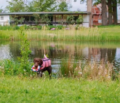 Nobby® Mehr Hundezubehör|Mehr Transport & Unterwegs > Nobby Schwimmhilfe für Hunde Sharki,