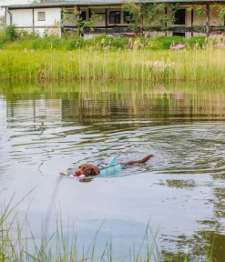 Nobby® Mehr Hundezubehör|Mehr Transport & Unterwegs - Nobby Schwimmhilfe für Hunde Sharki, Hellblau
