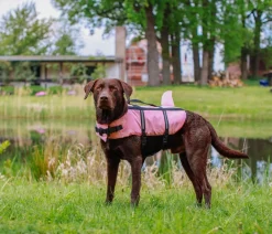 Nobby® Mehr Hundezubehör|Mehr Transport & Unterwegs - Nobby Schwimmhilfe für Hunde Sharki, Pink