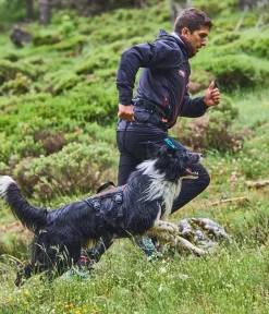Non-stop dogwear Mehr Hundezubehör|Mehr Transport & Unterwegs > Bauch-Laufgurt Trail light belt,