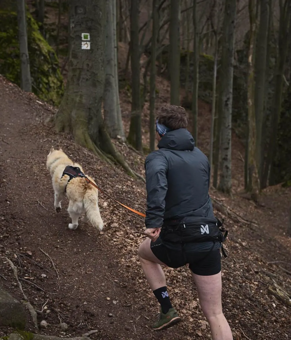 Non-stop dogwear Mehr Hundezubehör|Mehr Transport & Unterwegs > Bauch-Laufgurt Trail light belt,