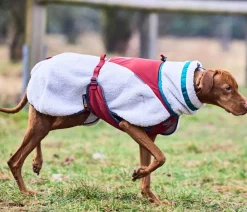 Non-stop dogwear Mehr Hundezubehör > Hunde-Fleecejacke Trekking fleece dog jacket, grau//