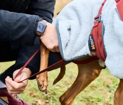 Non-stop dogwear Hunde-Fleecejacke Trekking fleece dog jacket, grau// Best