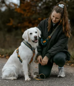 Non-stop dogwear Hundehalsbänder & Geschirre > Hundegeschirr Line Harness 5.0 Rachel Pohl Signature Edition, teal/oak