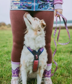 Non-stop dogwear Hundegeschirr Line Harness 5.0 Rachel Pohl Signature Edition, purple/ Hot