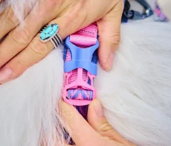 Non-stop dogwear Hundegeschirr Line Harness 5.0 Rachel Pohl Signature Edition, purple/ Hot