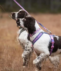 Non-stop dogwear Hundehalsbänder & Geschirre - Hundegeschirr Line Harness 5.0 Rachel Pohl Signature Edition, purple/