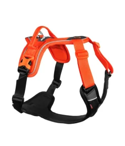 Non-stop dogwear Hundehalsbänder & Geschirre - Hundegechirr Rabe harne, /
