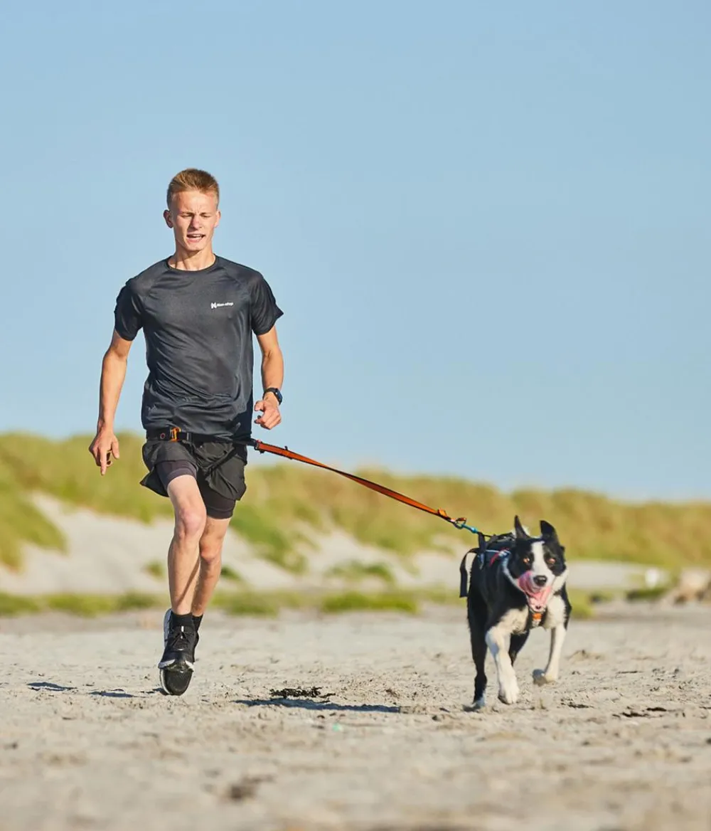 Non-stop dogwear Hundeleinen > Hundeleine Bungee leash, /