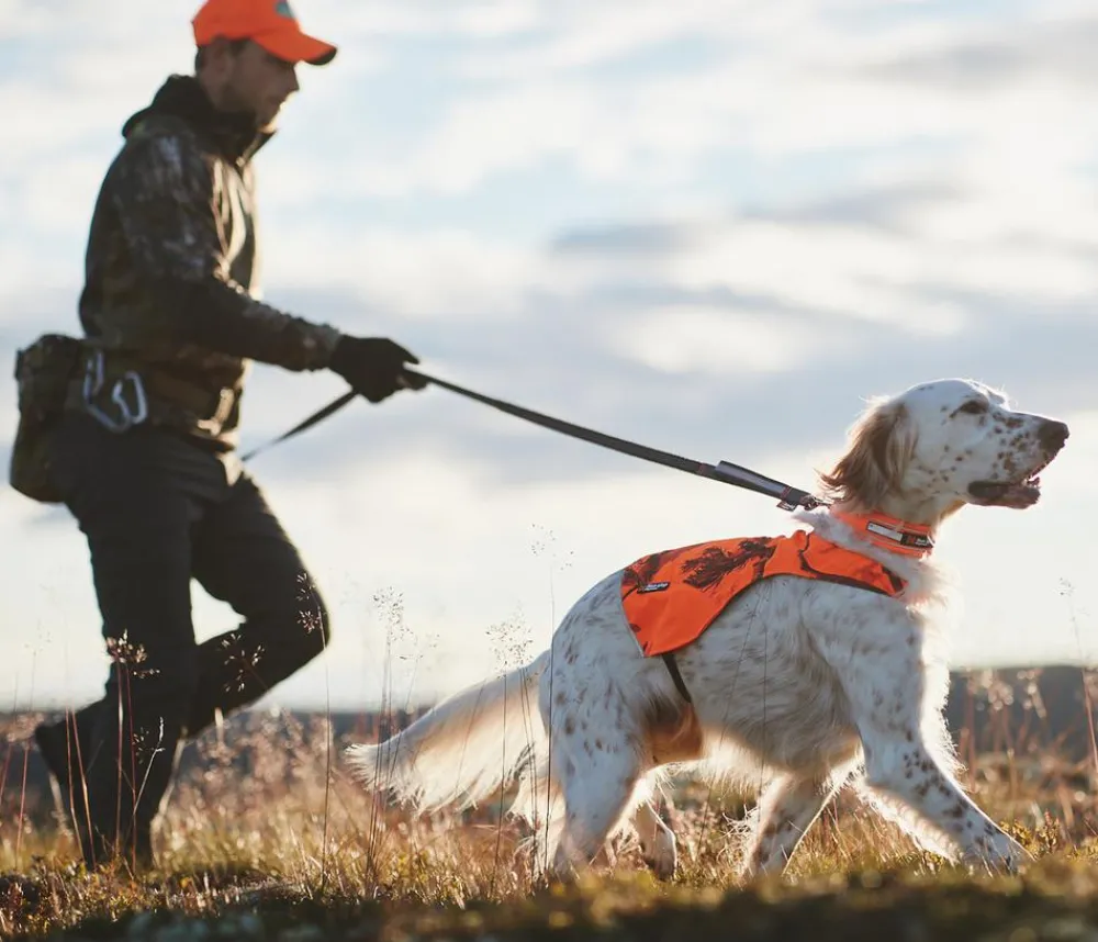 Non-stop dogwear Hundeleinen - Hundeleine Touring bungee adjustable, /, L1,46 m