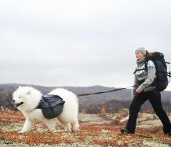 Non-stop dogwear Hundeleinen - Hundeleine Touring bungee adjustable, /, L1,46 m