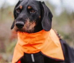 Non-stop dogwear Hunde-Regenmantel Fjord raincoat, / Sale