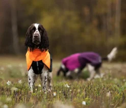 Non-stop dogwear Hunde-Regenmantel Fjord raincoat, / Sale