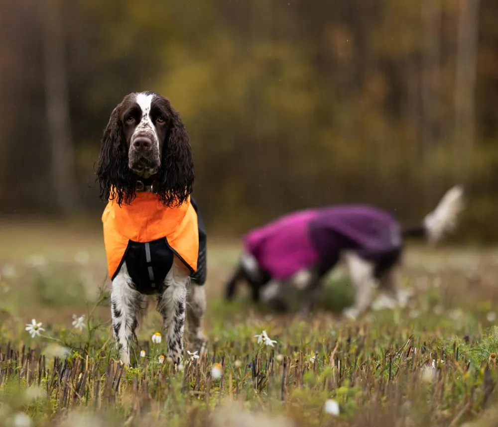 Non-stop dogwear Hunde-Regenmantel Fjord raincoat, purple Pink Clearance