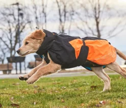 Non-stop dogwear Hunde-Wintermantel Glacier jacket 2.0, / New